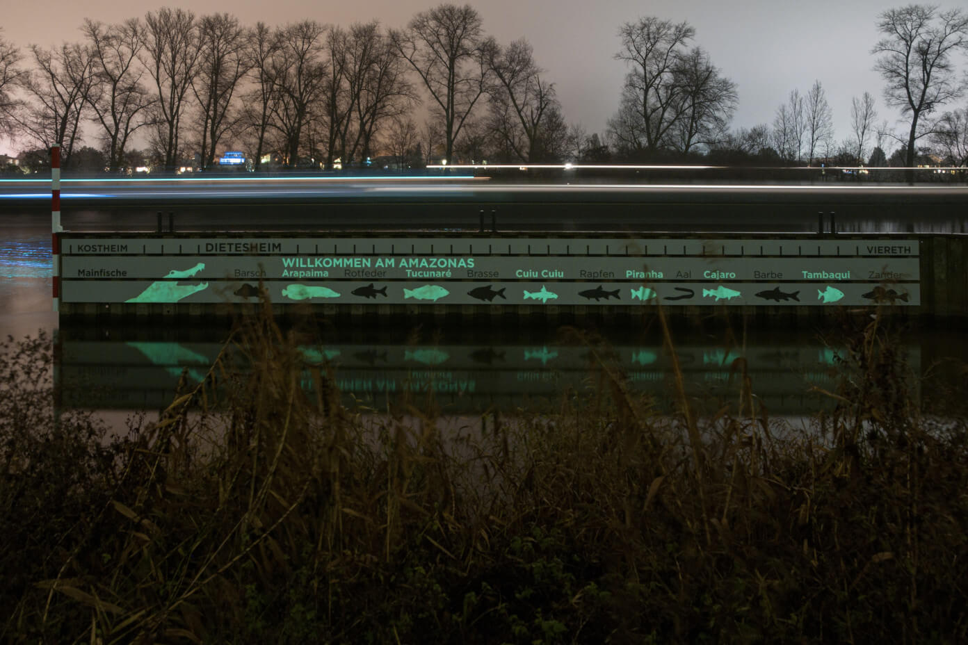 Klimaroute Station Flussfische Spundwand im Nachenhafen Mühlheim Nachtsicht